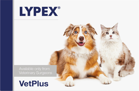 VetPlus Lypex emésztőenzim pótló kapszula VetPlus Lypex emésztőenzim pótló kapszula