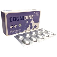 Cognidine tablete pentru câini și pisici pentru susținerea sistemului nervos