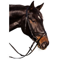 Covalliero Standard kantár #8