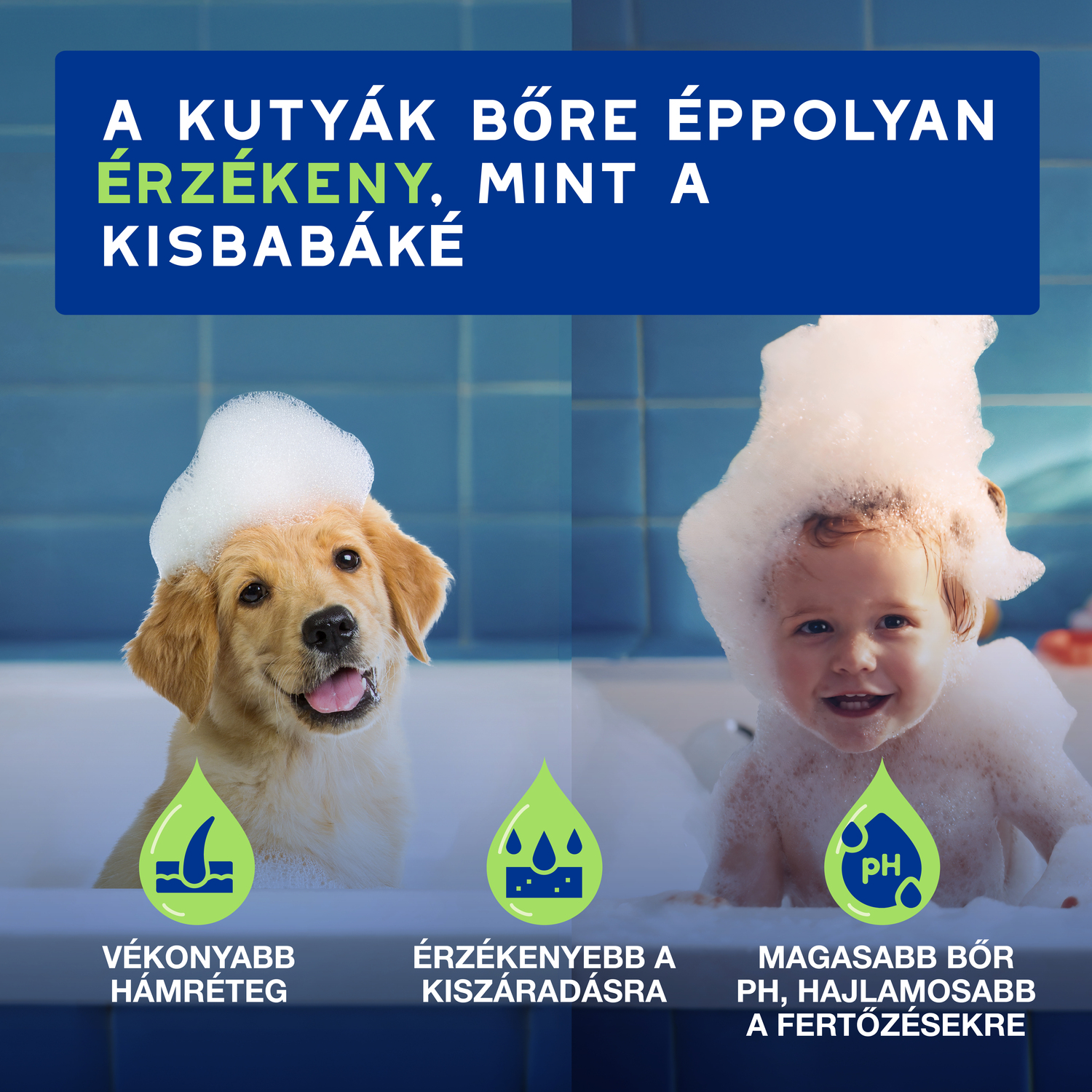 Douxo Spa șampon pentru câţei - zoom