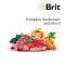 Brit Fresh Beef with Pumpkin Puppy Large Bones & Joints
