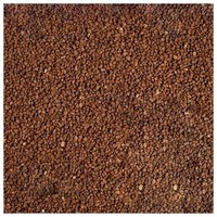 JBL Manado speciális növényi táptalaj akváriumokba #7