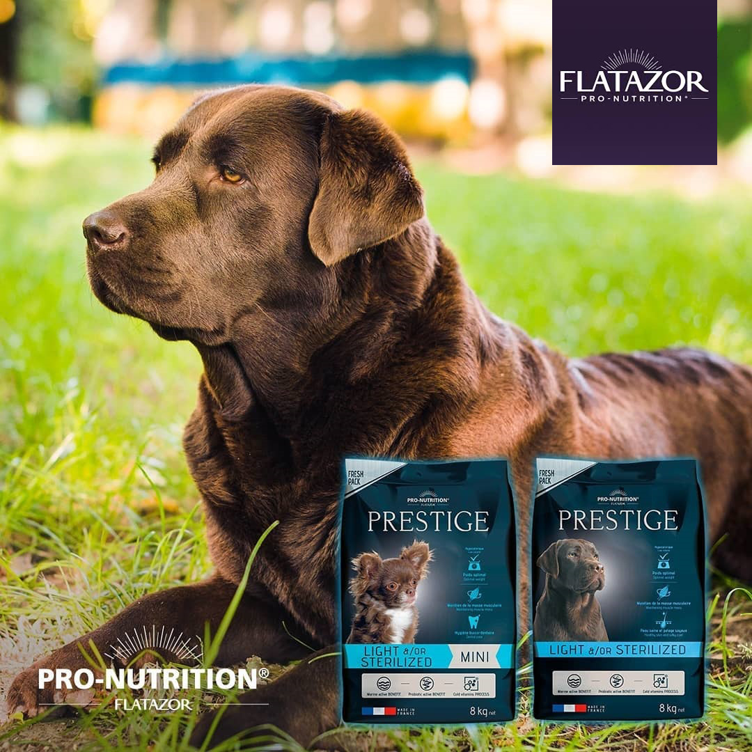 Pro-Nutrition Prestige Adult Mini Light / Sterilised Pork | Hrană uscată | Pentru câini mici sterilizați - zoom