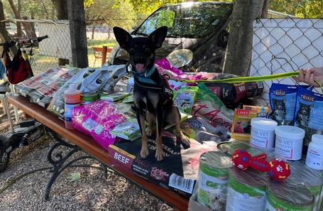 Köszönjük az adományokat ... ezúttal Gézut sikerült rávennünk egy kis pózolásra :)