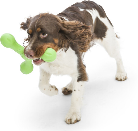 West Paw Skamp - Apport kutyajáték