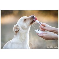 Lila Loves It ujjra húzható ezüstionos fogkefe kutyáknak és macskáknak #4