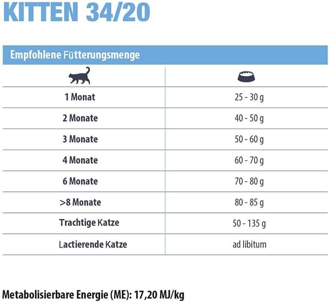 Eminent Kitten Chicken - zoom