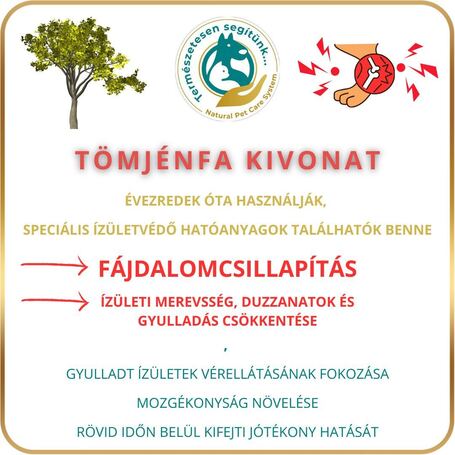 N.P.C.S. FortFlex - Csont, Porc, Ízület, Izom por kutyáknak