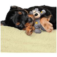 Kong Wild Knotz Bear kutyajáték #6