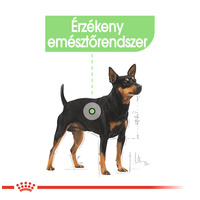 Royal Canin Digestive Care - Nedves táp érzékeny emésztésű felnőtt kutyák részére #2