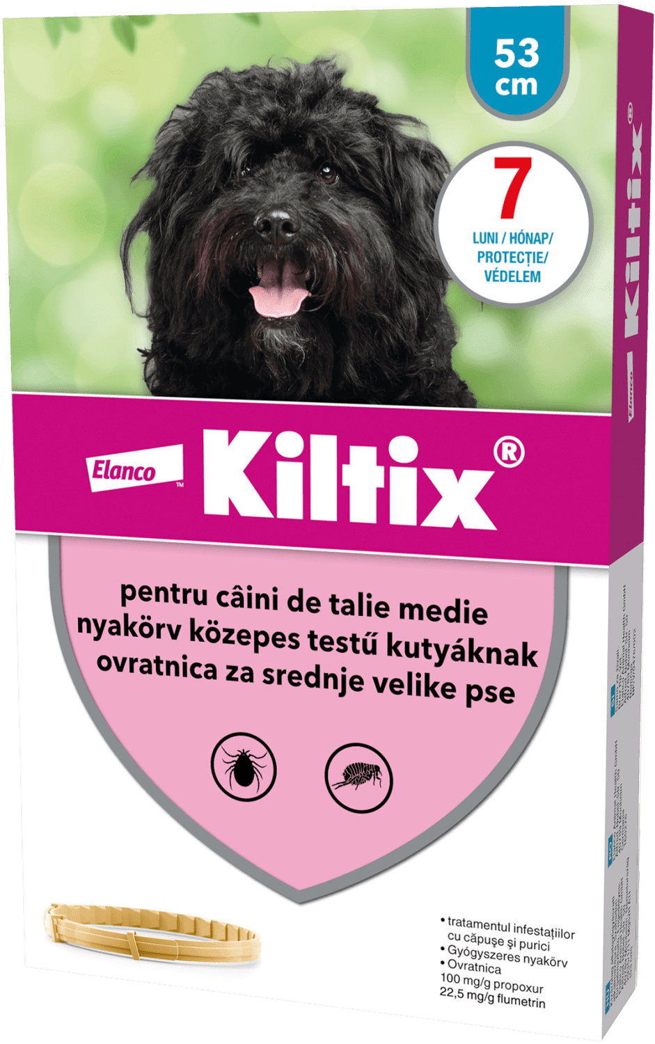 Zgardă Kiltix - zoom