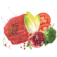 Exclusion Dog Mediterraneo Monoprotein Beef Puppy Medium #2