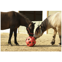 Kerbl HeuBoy szénaetető játéklabda lovaknak #6