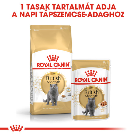 Royal Canin British Shorthair Adult - Brit rövidszörű felnőtt macska nedves táp