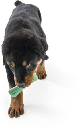 West Paw Seaflex Drifty - Csontot imitáló rágóka