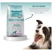 Eminent Diet Dog Struvite | Lúgos pH-ban és struviturolithiasisban szenvedő kutyáknak #3