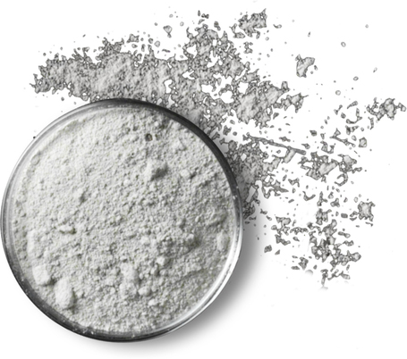 Belcando Mastercraft Fresh Salmon | 80% friss lazacból készült szuperprémium német kutyatáp