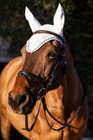 Covalliero Classic fülvédő lovaknak