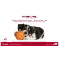 Advantix Spot On kutyáknak #9