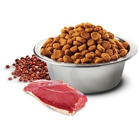 N&D Cat Grain Free Quinoa Urinary Duck – Húgyuti problémákra | Száraztáp macskáknak #2