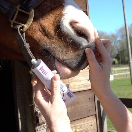 Omnimatrix sebfertőtlenítő krém a gyors sebgyógyulásért