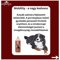 Arthrocol Mobility porcerősítő és ízületvédő szirup #5