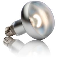 Exo Terra Intense Basking Spot pont megvilágító izzó sütkérezéshez #2