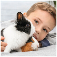 Beaphar Cage Fresh alom szagtalanító granulát kisállatoknak #3