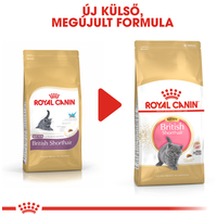 Royal Canin British Shorthair Kitten - Brit rövidszőrű kölyök macska száraz táp #10