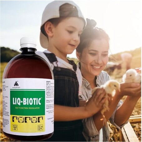 Liq-Biotic hasmenés elleni gyógynövényes itatófolyadék