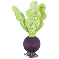 Trixie fa fogkoptató játék eper és cékla formában rágcsálóknak #2