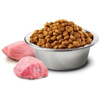 N&D Dog Grain Free Adult Mini sütőtök, csirkehús & gránátalma | Kis szemcseméret | Gabonamentes kutyatáp #3