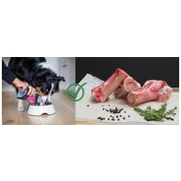 Miért adjunk csontlevest a kutyának? És mi a kapcsolat a húsleves és a kollagén között?