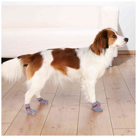 Trixie csíkos kutyazokni #3