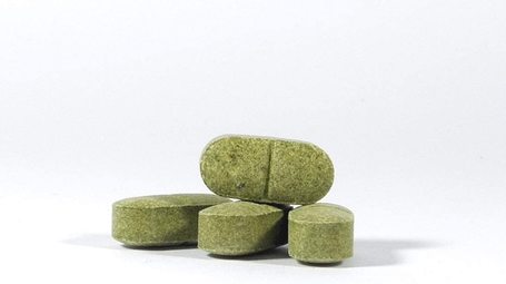 Prodivet Aplazyl ízületvédő tabletta