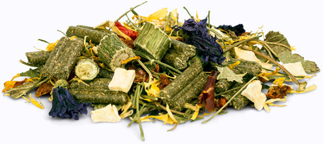 bunnyNature DeguDream Basic