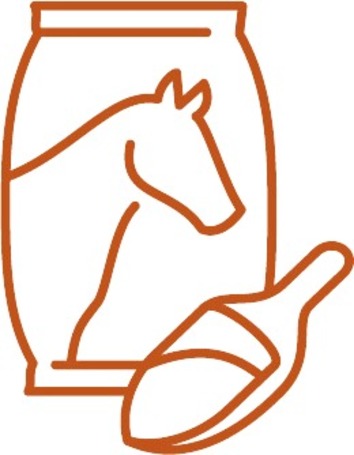 Táplálékkiegészítők lovaknak