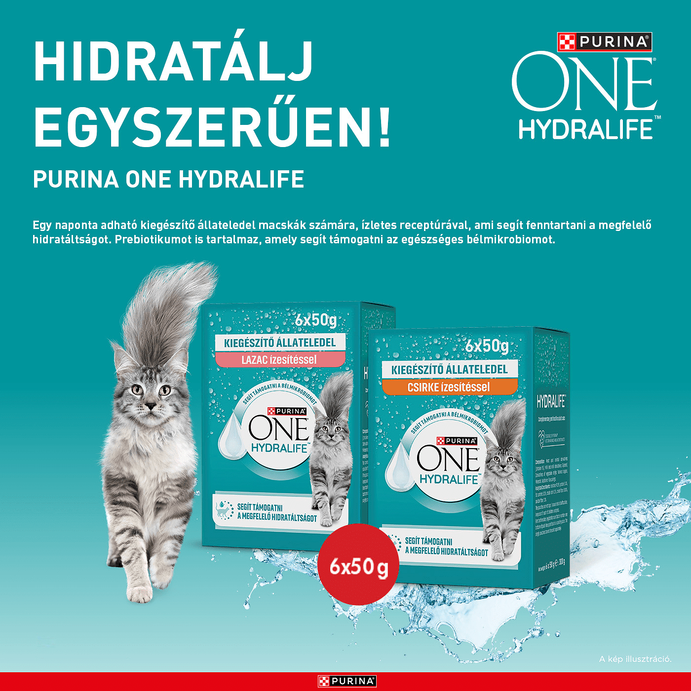 Purina ONE Hydralife Salmon folyékony macskaital