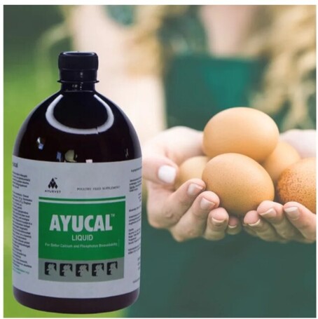 Ayucal kalcium-, foszfor- és tojáshéj-erősítő itatófolyadék