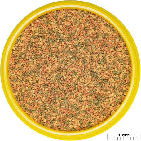 JBL ProNovo Bel Grano süllyedő akváriumi haleledel