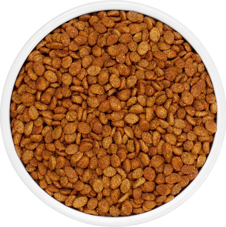 Eminent Cat Adult Chicken | Csirkehúsos száraz macskatáp