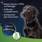 Beaphar gyógynövényes fényvisszaverő nyakörv kutyáknak