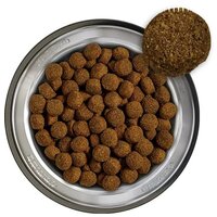 Belcando Baseline Ranger - Normális aktivitás mellé, felnőt kutyák részére #2