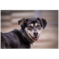 Stacy, 6 éves leányka #10