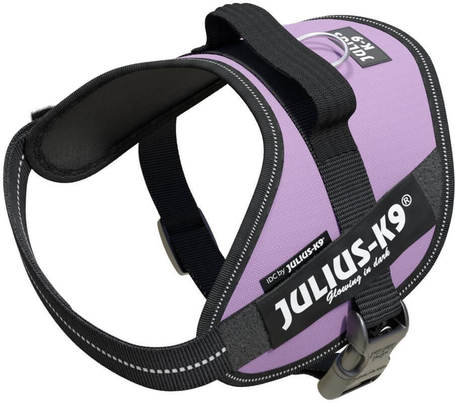 Julius-K9 IDC lila powerhám kutyáknak