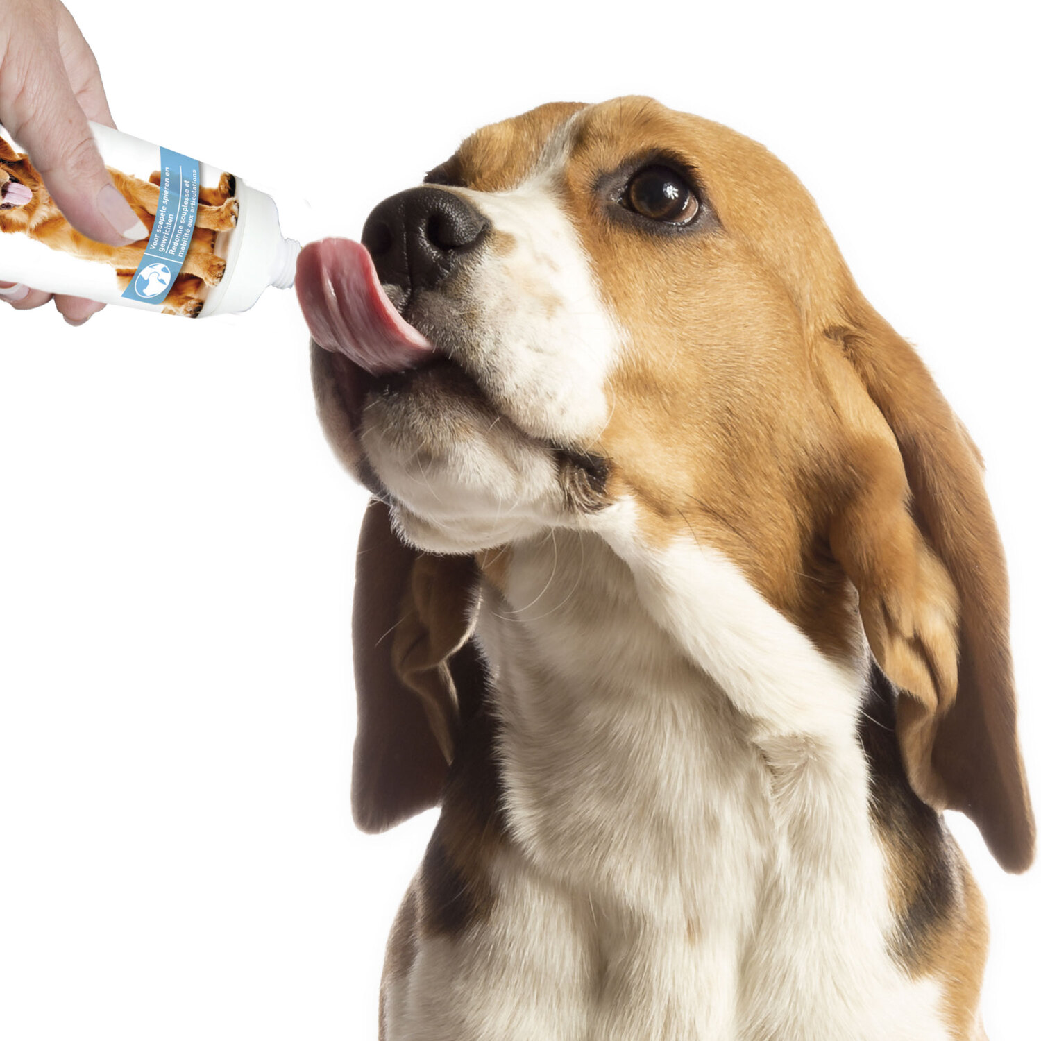 Beaphar Joints Paste - Pastă hrănitoare pentru articulații pentru câini - zoom