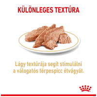 Royal Canin Pomeranian Adult - Pomerániai törpespicc felnőtt kutya nedves táp #3