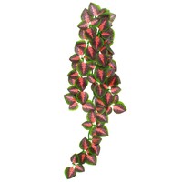 Repti-Zoo Fittonia terráriumi műnövény #2