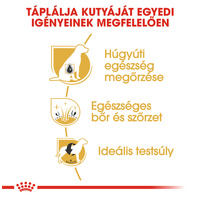 Royal Canin Bichon Frise Adult - Bichon Frise felnőtt kutya száraz táp #4