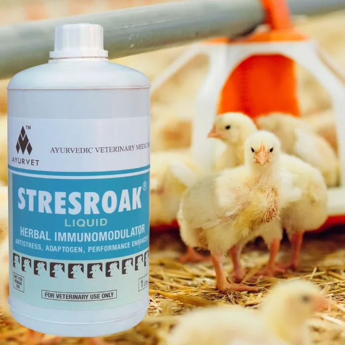 Stresroak lichid de băut pentru animalele de fermă, ameliorează stresul - zoom